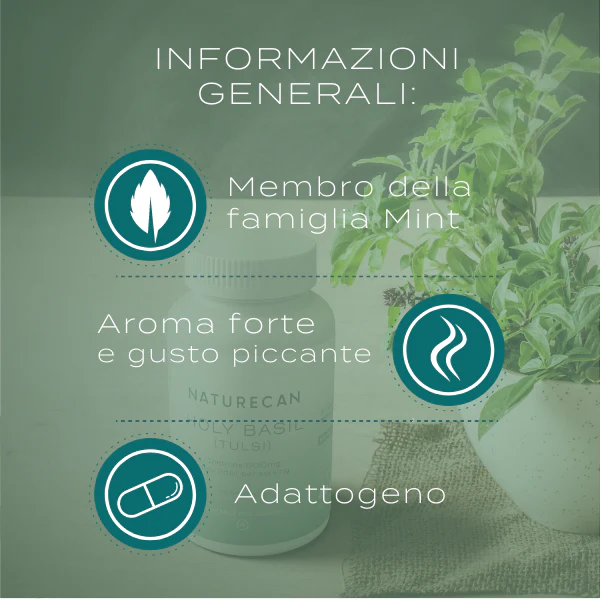 Immagine prodotto 3