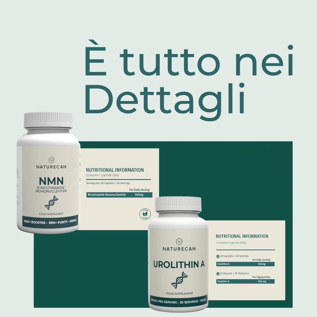 Immagine prodotto 3