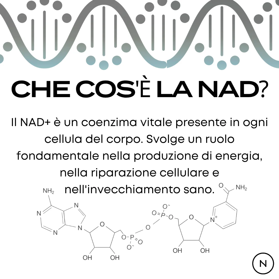 Immagine prodotto 3