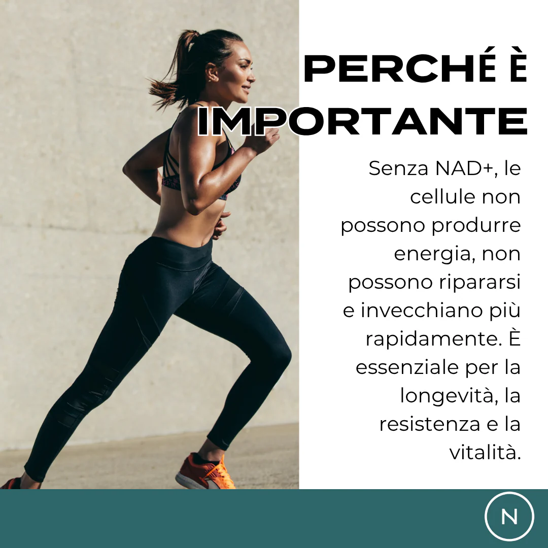 Immagine prodotto 6