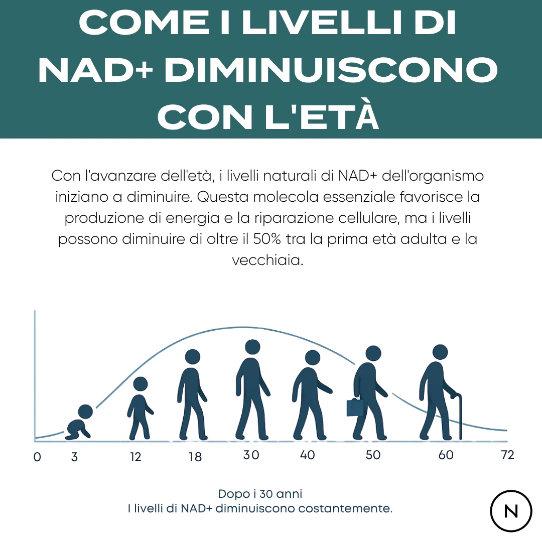 Immagine prodotto 7