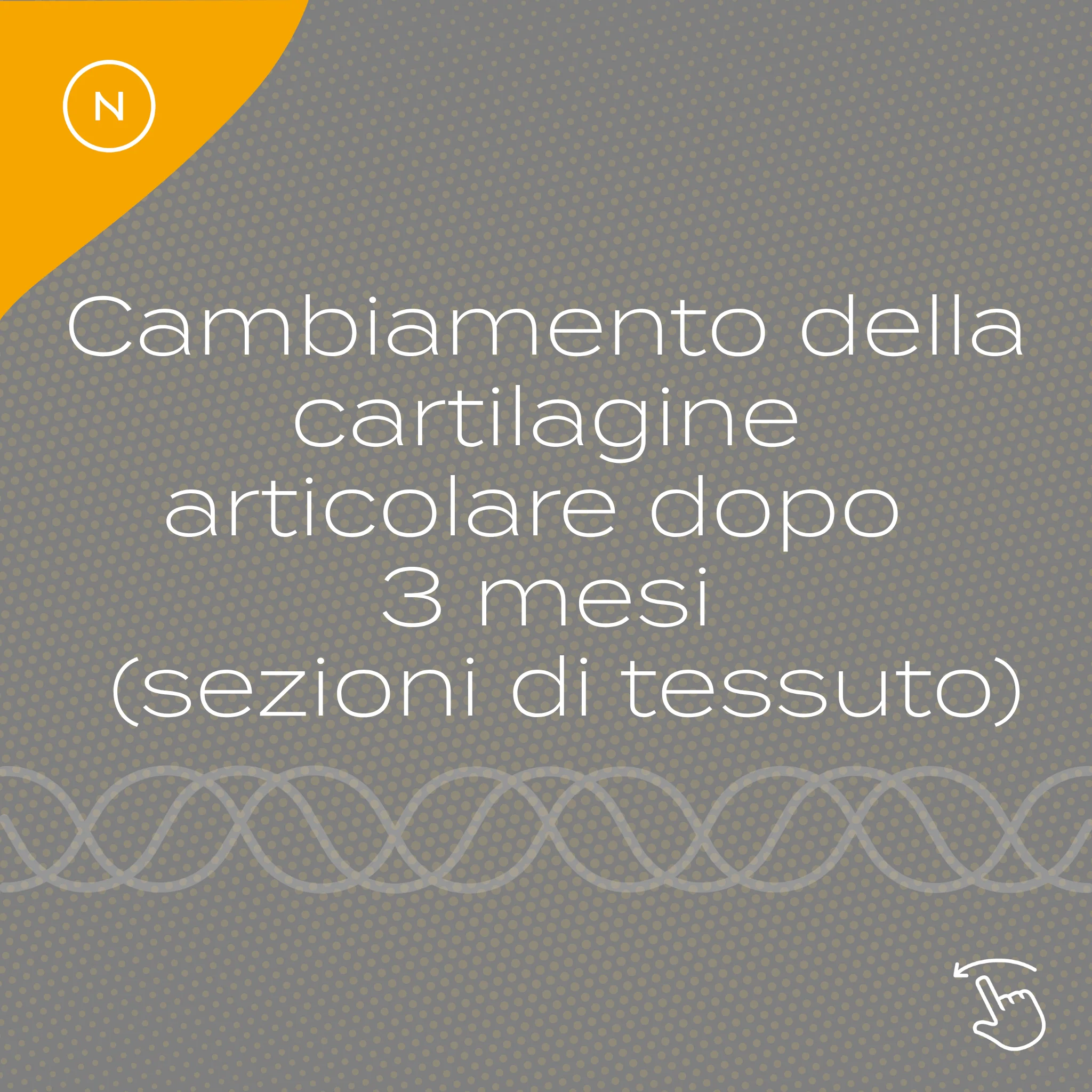 Immagine prodotto 12