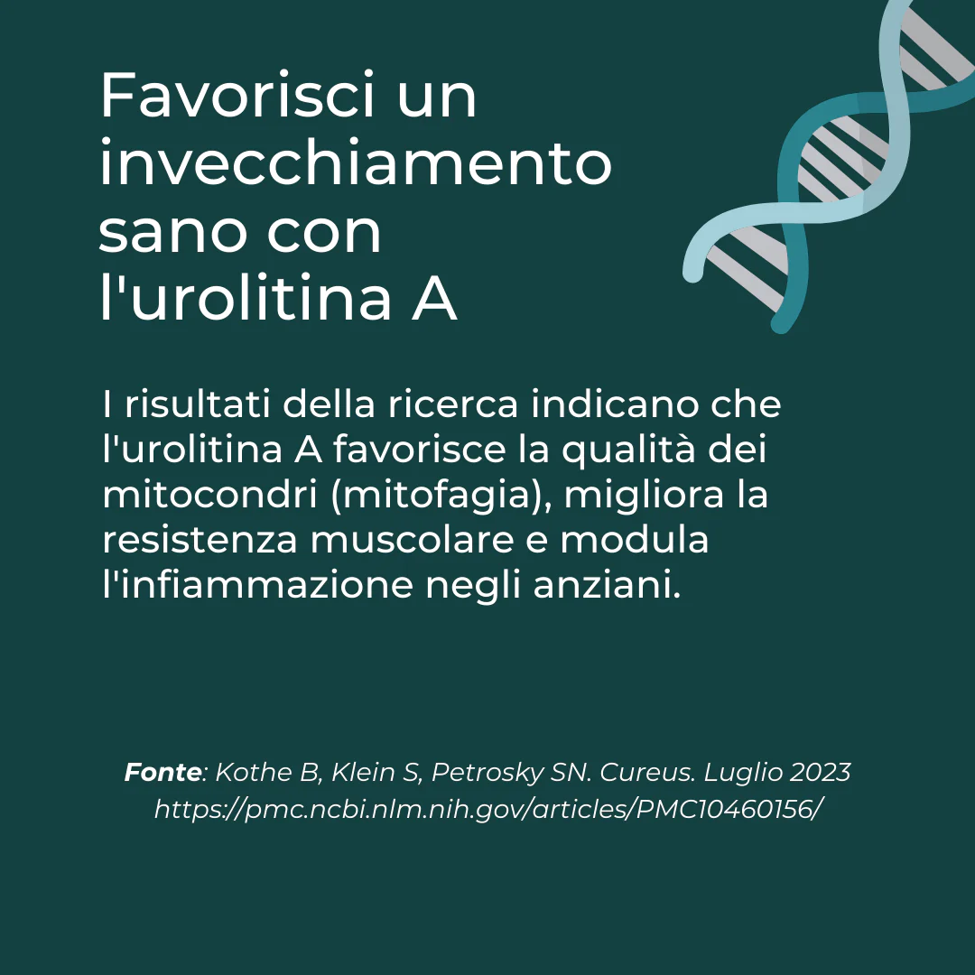 Immagine prodotto 5